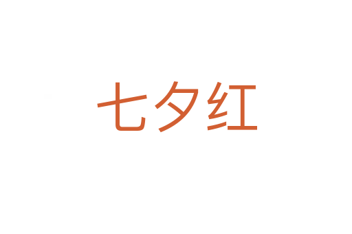 七夕红