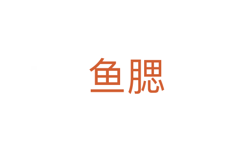 鱼腮