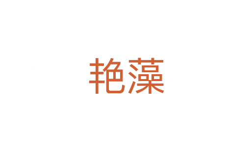 艳藻