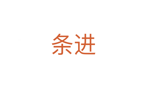 条进