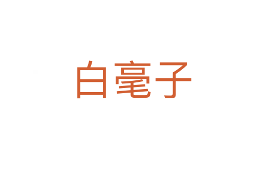 白毫子