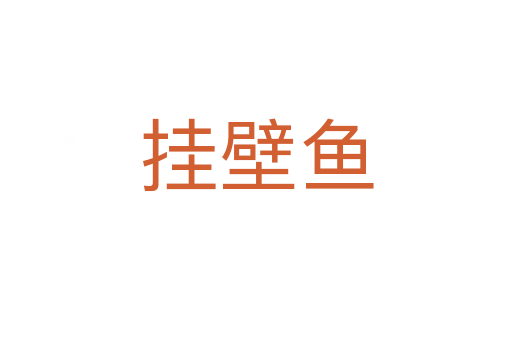 挂壁鱼