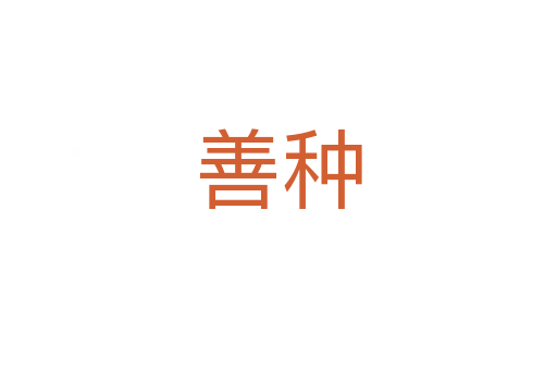 善种