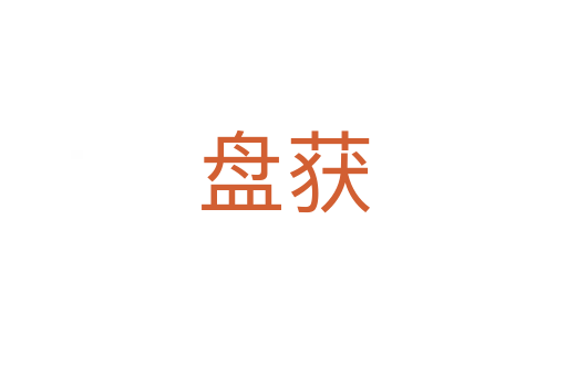 盘获