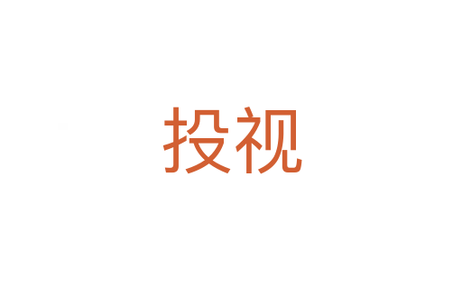 投视