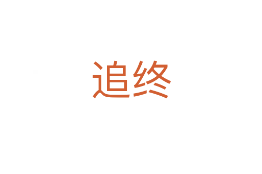 追终