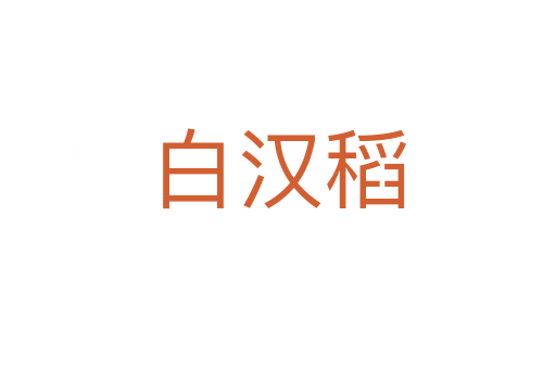 白汉稻