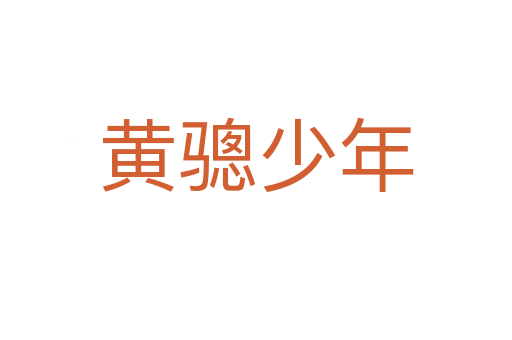 黄骢少年
