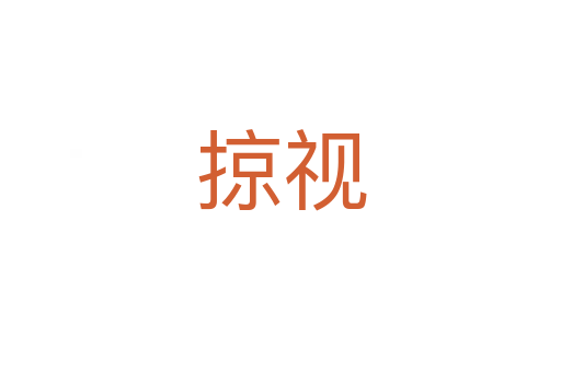掠视