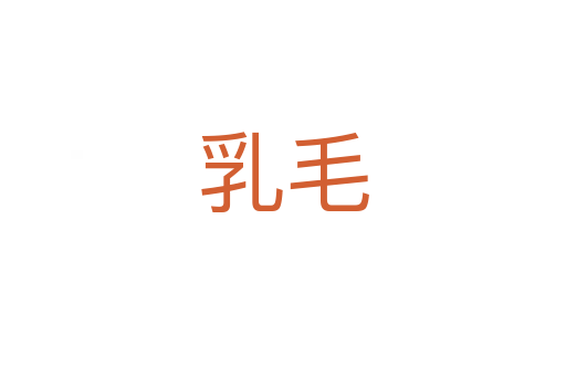 乳毛