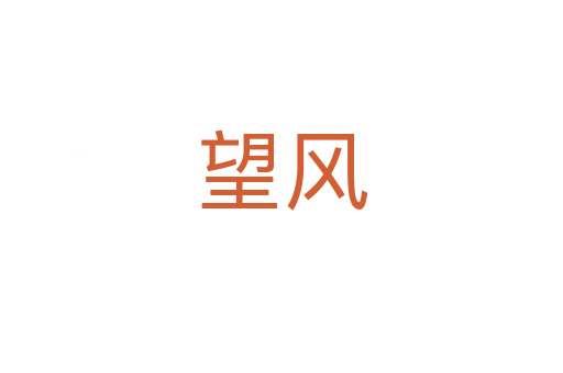望风