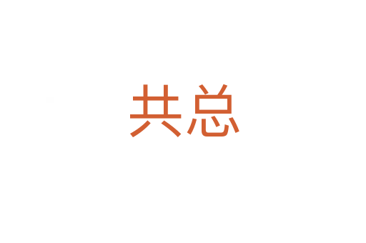 共总