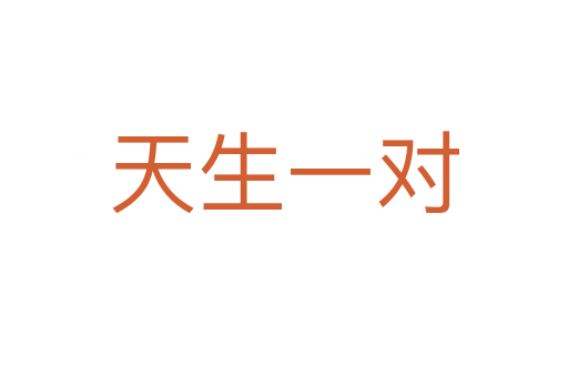 天生一对