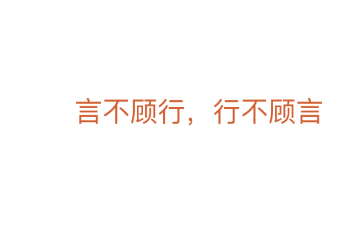 言不顾行,行不顾言