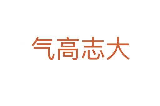 气高志大