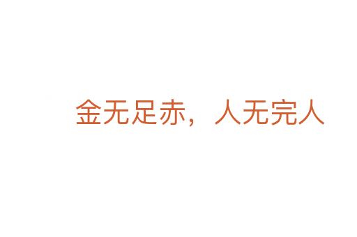 金无足赤,人无完人