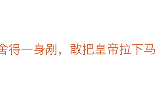 舍得一身剐,敢把皇帝拉下马