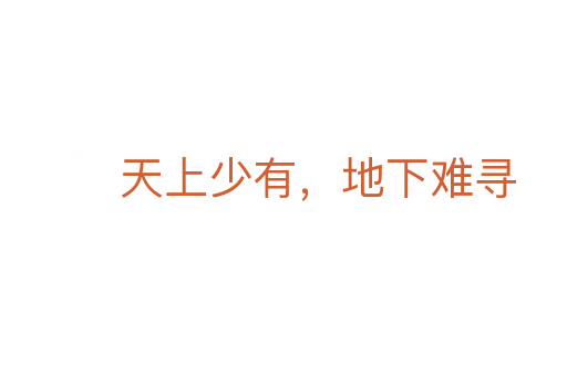 天上少有,地下难寻