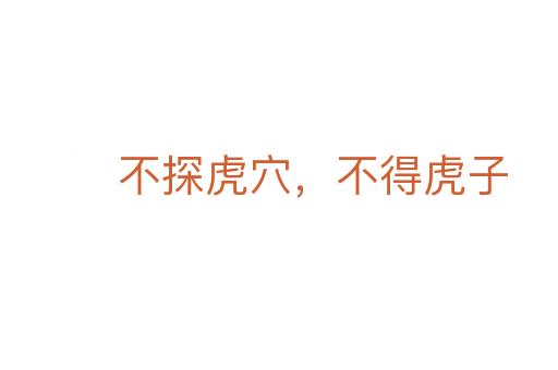 不探虎穴,不得虎子